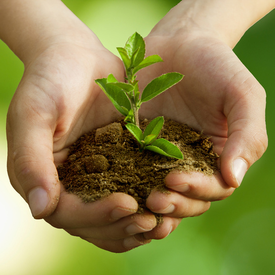 13 astuces de jardinage qui vous simplifieront la vie !