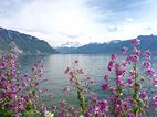 The Flower-lined quays of Montreux